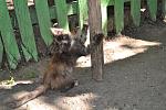     
: DSC_0557.jpg
: 29
:	167.5 
ID:	8638066