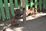     
: DSC_0555.jpg
: 32
:	165.0 
ID:	8638067