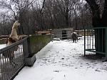     
: CIMG2786.jpg
: 175
:	225.2 
ID:	863990