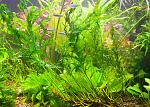     
: DSC_0700.jpg
: 16
:	227.3 
ID:	8640361