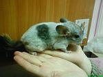     
: DSC01311.JPG
: 19
:	30.0 
ID:	864055