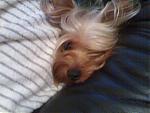     
:  02042007399.jpg
: 45
:	83.9 
ID:	86422