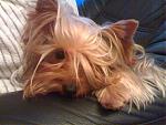     
:  02042007396.jpg
: 45
:	104.3 
ID:	86423