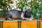     
: DSC_5705.jpg
: 8
:	178.6 
ID:	8647507