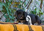     
: DSC_5856.jpg
: 7
:	151.5 
ID:	8647508