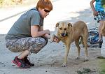     
: DSC_5939.jpg
: 4
:	151.3 
ID:	8647544