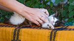     
: DSC_5881.jpg
: 7
:	122.4 
ID:	8647560