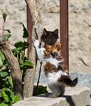     
: DSC_5927.jpg
: 6
:	135.6 
ID:	8647562