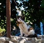     
: DSC_5911.jpg
: 4
:	113.3 
ID:	8647563