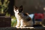     
: DSC_5770.jpg
: 5
:	81.6 
ID:	8647564