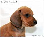     
: 3985yiblhl15.jpg
: 9
:	124.5 
ID:	8647659