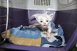     
: IMG_7535.jpg
: 16
:	91.5 
ID:	8652620