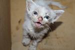     
: IMG_7538.jpg
: 19
:	61.1 
ID:	8652626