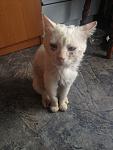     
: 2014-09-04 19.00.58.jpg
: 17
:	93.2 
ID:	8653327