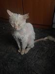     
: 2014-09-04 19.01.30.jpg
: 15
:	65.2 
ID:	8653335