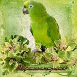     
: 988738641.jpg
: 11
:	56.6 
ID:	8655452