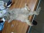     
: 20140906_155825.jpg
: 36
:	128.9 
ID:	8656651