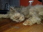     
: 20140906_160854.jpg
: 33
:	125.4 
ID:	8656652