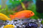     
: DSC_0073.jpg
: 13
:	71.2 
ID:	8657278