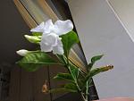     
: Фото0482.jpg
: 12
:	122.3 
ID:	8657659