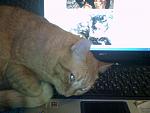     
: SP_A1217.jpg
: 18
:	51.7 
ID:	866082