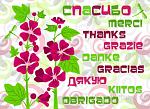     
: fe9e7b618551a9bc39c3759daf85d076.jpg
: 79
:	203.6 
ID:	8661876