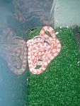     
: 65uQ422EgGc.jpg
: 8
:	160.3 
ID:	8667221