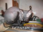     
: IMG_7047.jpg
: 26
:	98.3 
ID:	867014