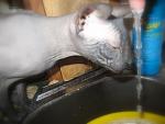     
: IMG_7055.jpg
: 22
:	85.8 
ID:	867020