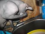     
: IMG_7056.jpg
: 26
:	138.6 
ID:	867029