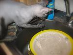     
: IMG_7057.jpg
: 22
:	87.8 
ID:	867037