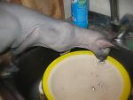     
: IMG_7058.jpg
: 23
:	83.6 
ID:	867048