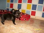     
: Ug11fN_Xj38.jpg
: 6
:	57.7 
ID:	8676573