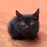     
: DSC_0338.jpg
: 5
:	67.5 
ID:	8677544