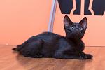     
: DSC_0325.jpg
: 6
:	85.6 
ID:	8677547