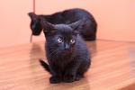     
: DSC_0330.jpg
: 6
:	79.4 
ID:	8677548