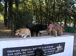     
: 25.09.11 091.jpg
: 10
:	252.2 
ID:	8678367