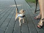     
: vFTE7gARlnk.jpg
: 13
:	57.4 
ID:	8678436