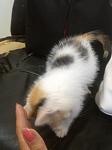     
: WP_000268.jpg
: 16
:	70.7 
ID:	8680817