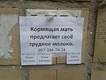    
: 20140911_090512.jpg
: 50
:	176.8 
ID:	8682476