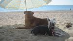     
: IMG_1959.jpg
: 9
:	107.1 
ID:	8682836
