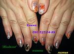     
: IMG_0367 паук.jpg
: 11
:	156.1 
ID:	8683921