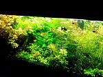     
: IMG_08-04-2014_132906.jpg
: 9
:	207.1 
ID:	8685762