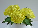     
: 16 - peonies - yellow - 2sm.jpg
: 157
:	238.7 
ID:	8687906