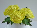     
: 16 - peonies - yellow - 2sm.jpg
: 166
:	238.7 
ID:	8687906
