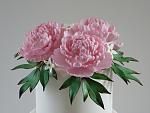     
: 17 - peonies - pink - 1sm (ph).jpg
: 184
:	293.1 
ID:	8687907