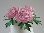     
: 17 - peonies - pink - 1sm (ph).jpg
: 173
:	293.1 
ID:	8687907