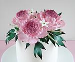     
: 15 - Peony Top - 2sm (ph).jpg
: 172
:	125.2 
ID:	8687908