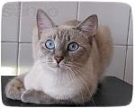    
: 5_561MHXjc8.jpg
: 26
:	23.7 
ID:	8688435