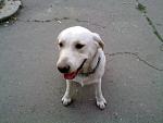     
: 110920142702.jpg
: 14
:	108.9 
ID:	8689417